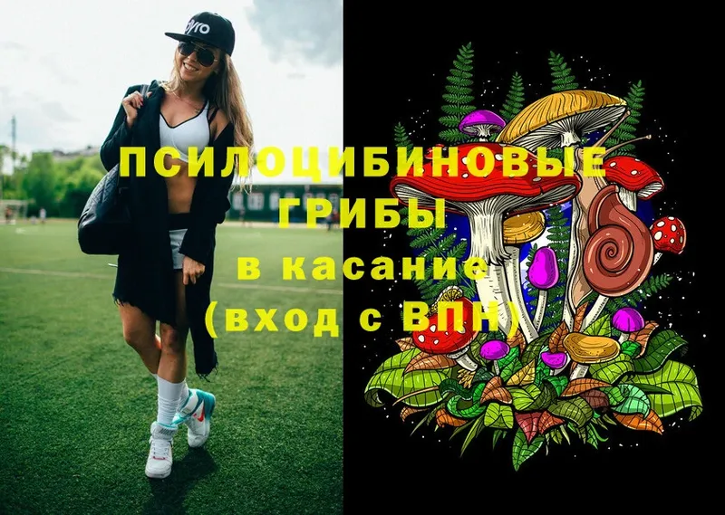 Псилоцибиновые грибы Magic Shrooms  купить   Чкаловск 