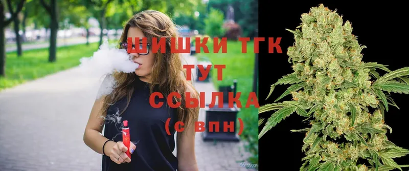 Конопля SATIVA & INDICA  shop как зайти  МЕГА ссылки  Чкаловск  где найти  